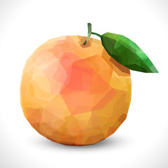 Realistic unusual polygonal isolated Polygonal fruit - grapefruit. Modern vector editable template.