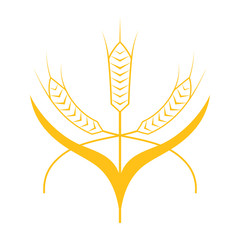 Ears of Wheat, Barley or Rye vector visual graphic icon