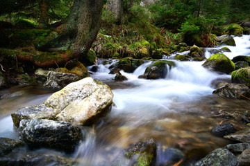 Fototapeta na wymiar Mountain brook among stones and forest