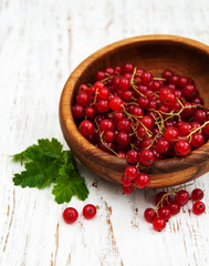fresh red currant