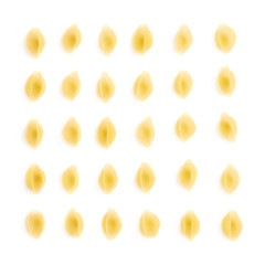 Single pieces of dry conchiglie pasta over isolated white background