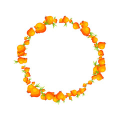 juicy round frame of onion.