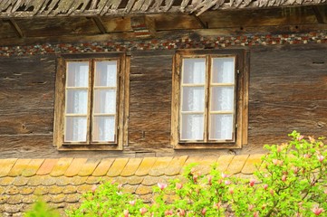 Old rustic windows, magnolia tree in foreground 