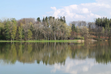 trees growing on the bank of a dam reflecting on the calm water surface