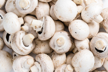 White Mushrooms (background image)