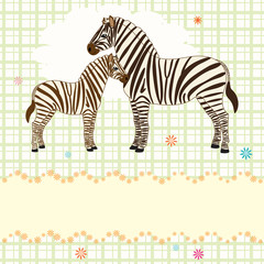 Fototapeta na wymiar Nice vector card with two zebras
