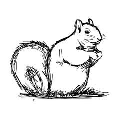 illustration vector hand draw doodles of squirrel isolated on white background
