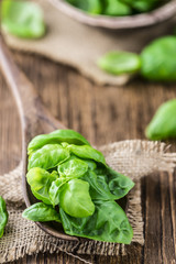 Portion of fresh Basil (close-up shot)