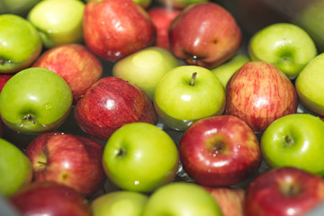 Fruits series : Washing red and green apples