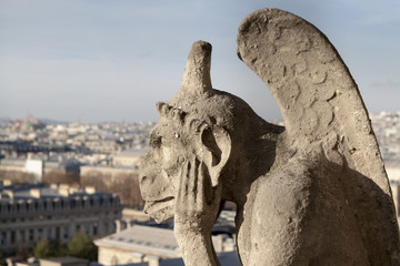 Fototapeta na wymiar Chimera di pietra della Cattedrale di Notre-Dame a Parigi.