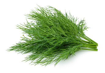 A bunch of fresh dill 