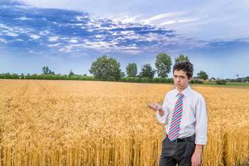 cute caucasian boy in a wheat field