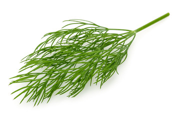  A bunch of fresh dill 
