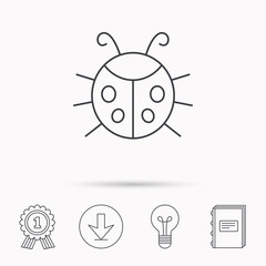 Ladybug icon. Ladybird insect sign.