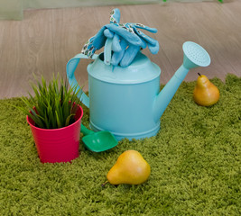 Watering can and garden tools