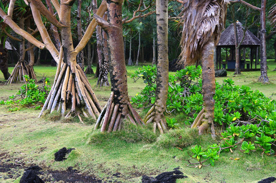 La R&eacute;union - Vacoas et kiosque au Puits Fran&ccedil;ais
