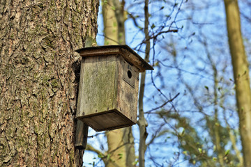 Bird house in tree