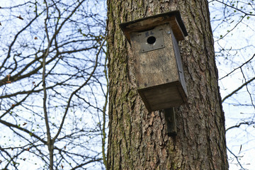 Bird house in tree