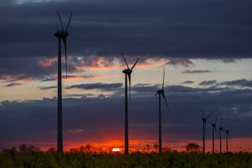 Obraz premium Ecologie, éoliennes au coucher du soleil