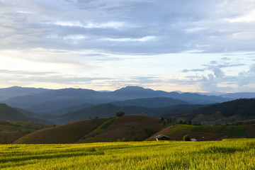 Obraz premium Rice Terraces, Chiang Mai, Thailand