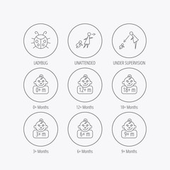 Infant child, ladybug and toddler baby icons.