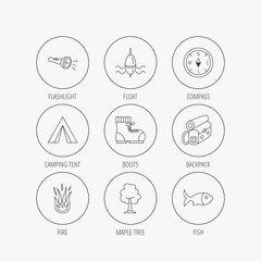 Maple tree, fishing float and hiking boots.