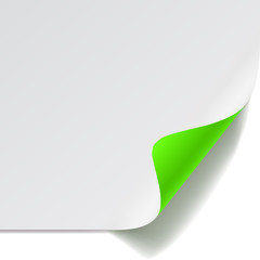 White and green sheet of paper with curved corner and with shado