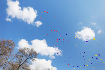  colored balloons flying up in the sky