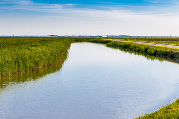 irrigation canal