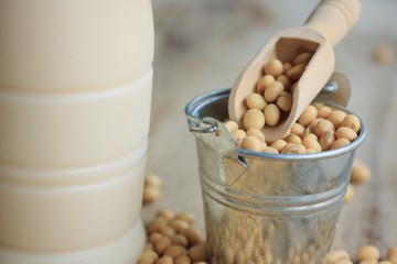 soy milk with soybean