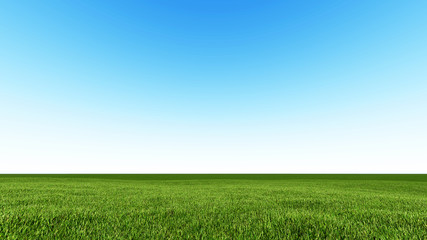 Beautiful landscape, grass clean blue sky - 108353785