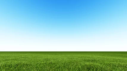 Beautiful landscape, grass clean blue sky © zozulinskyi