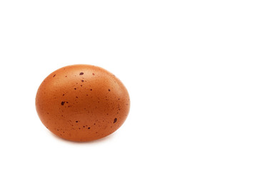 One egg on white background