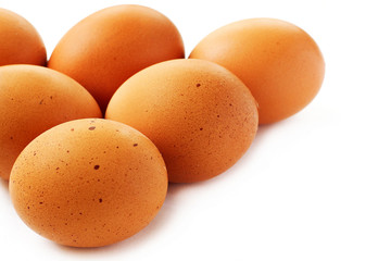 Chicken eggs closeup