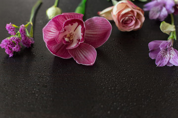 Fototapeta na wymiar flowers pink water drops on a dark wooden background