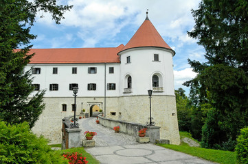 Fototapeta na wymiar Castle in Slovenia