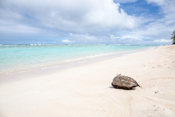 Fototapeta na wymiar tropical beach in Guam