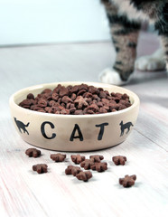 Katzentrockenfutter mit Katze im Hintergrund