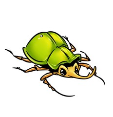 Beetle insect cartoon illustration