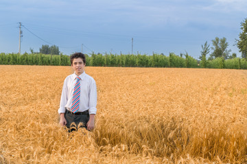 Naklejka na ściany i meble Nice boy in a golden wheat field