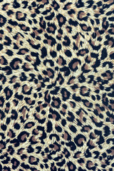 texture of print fabric striped leopard