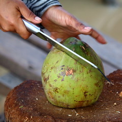 Coconut preparation: cutting