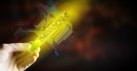 Fototapeta premium Science research test