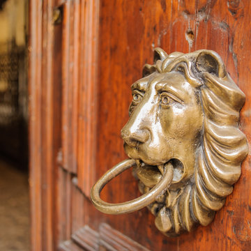 Lion Knocker