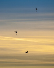 Silhouette of three skydivers falling with parachute open against dramatice sunset and clouds