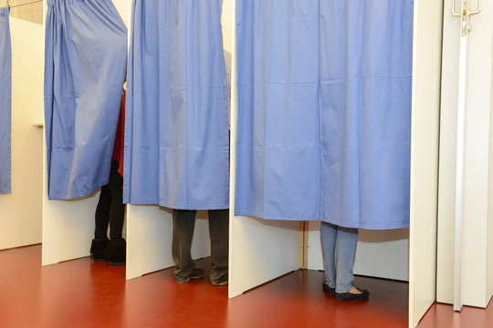 Row Of Tree Voting Booths