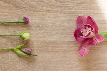 flowers pink water drops on a light wooden background