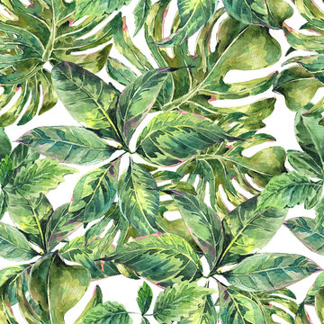 Summer exotic watercolor seamless pattern