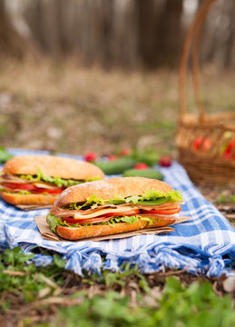 Ciabatta bread sandwich lifestyle picnic meal with vegetables, bacon, salad, cheese and onion