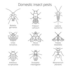 Thin line symbols of bug